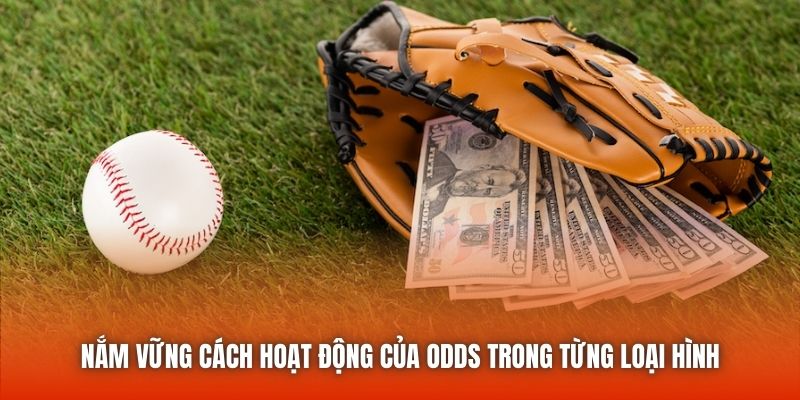 Nắm vững cách hoạt động của odds trong từng loại hình