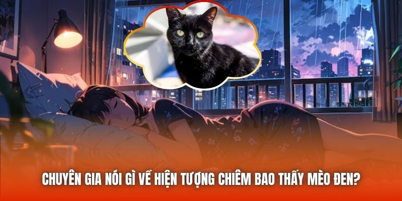 Chuyên gia nói gì về hiện tượng chiêm bao thấy mèo đen?