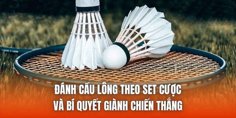 Đánh Cầu Lông Theo Set Cược Và Bí Quyết Giành Chiến Thắng